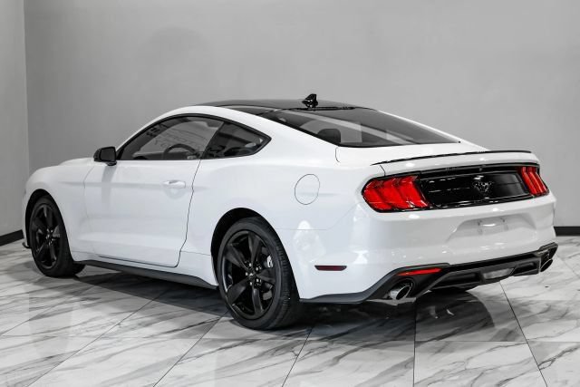 Used 2023 Ford Mustang Premium w/ Mustang Nite Pony Package RWD image 12