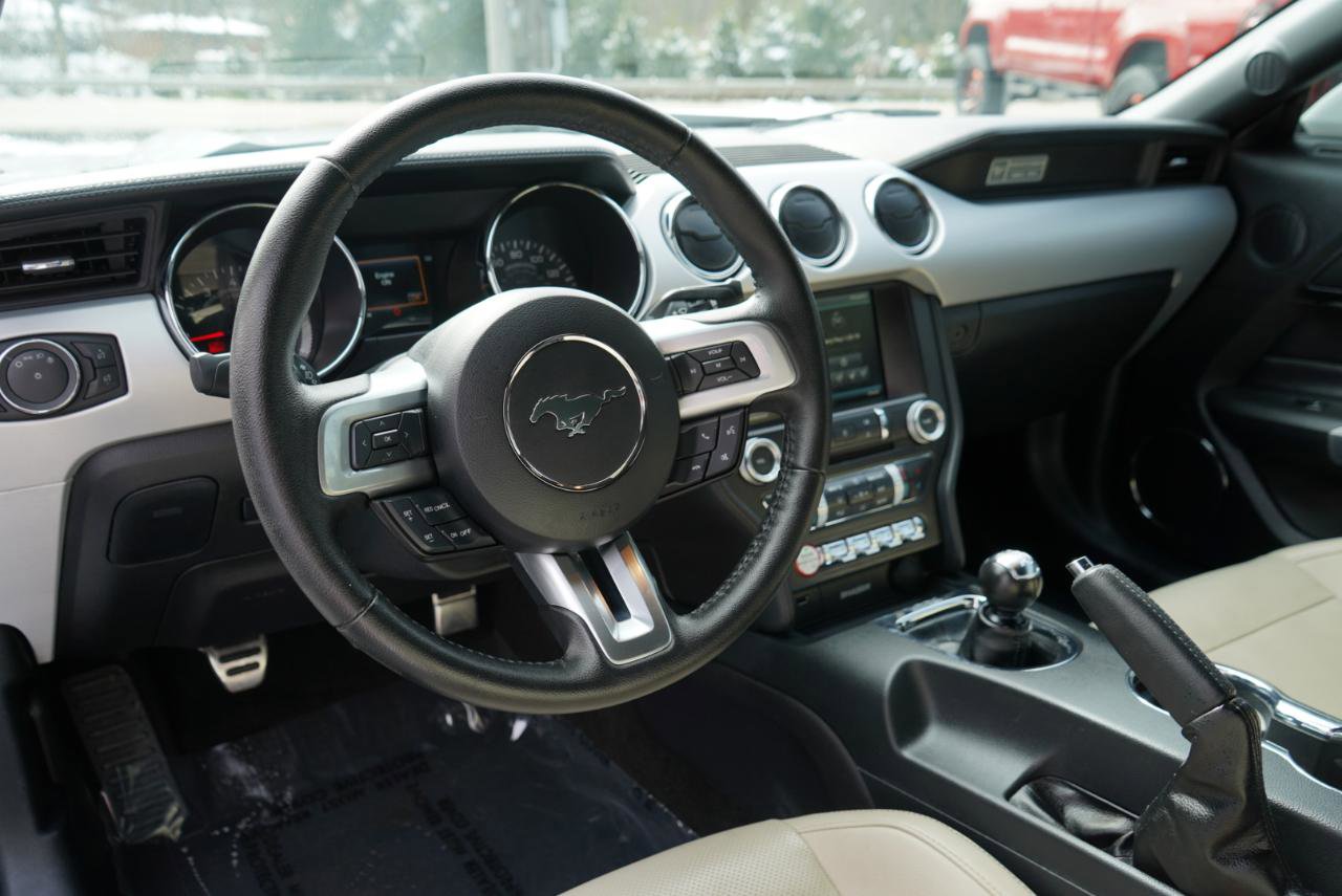Used 2015 Ford Mustang GT Premium w/ Equipment Group 401A image 24