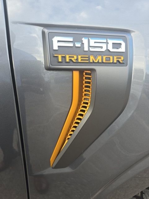 New 2025 Ford F150 Tremor image 9