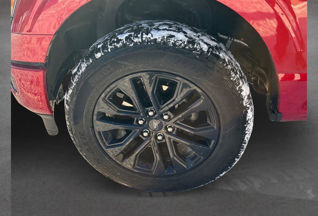 Used 2025 Ford F150 XLT w/ Equipment Group 302A MID image 11