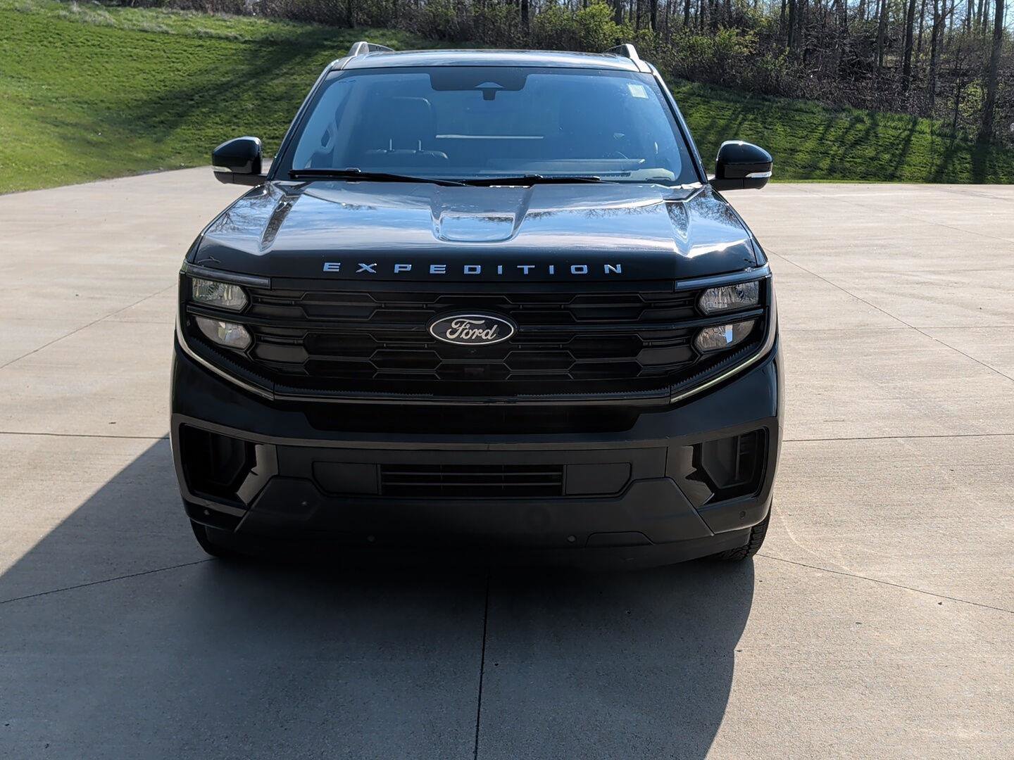 Used 2025 Ford Expedition Active image 2