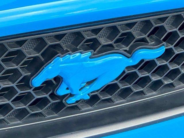 Used 2014 Ford Mustang GT w/ Equipment Group 301A RWD image 37