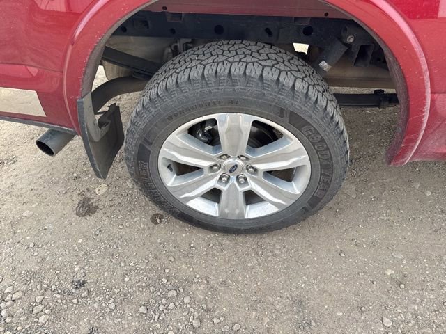 Used 2019 Ford F150 Platinum w/ Equipment Group 701A Luxury image 9