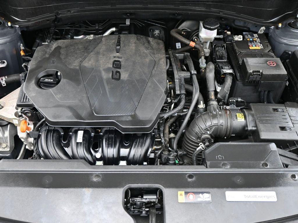 Used 2024 Kia Sportage LX image 14