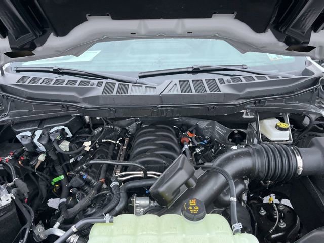 New 2025 Ford F150 XLT w/ Equipment Group 303A High image 23