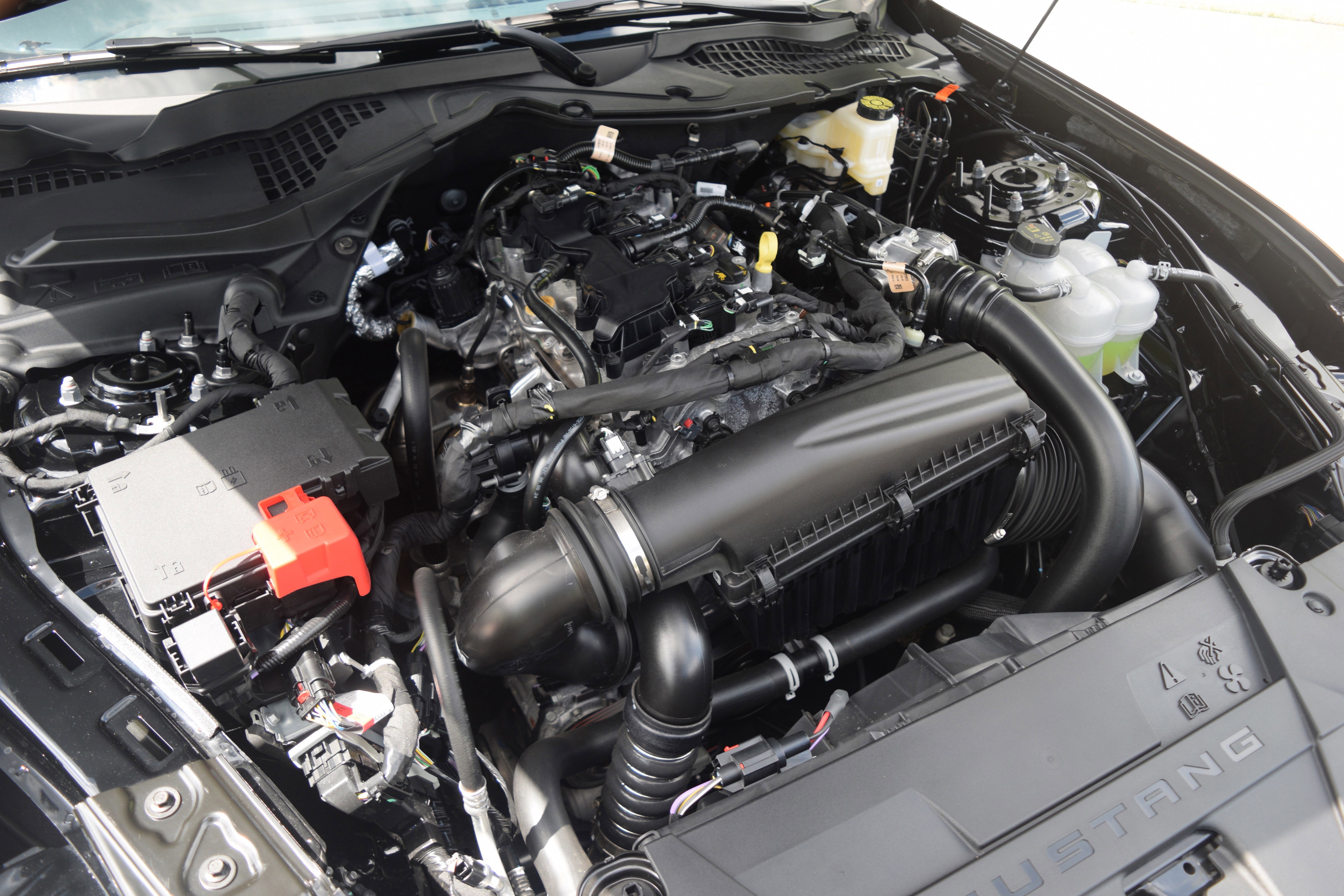 Used 2025 Ford Mustang Coupe RWD image 24