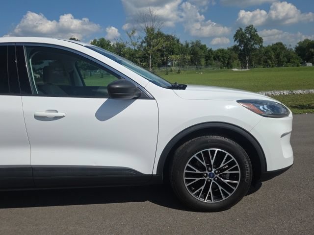 Used 2022 Ford Escape SE FWD image 4