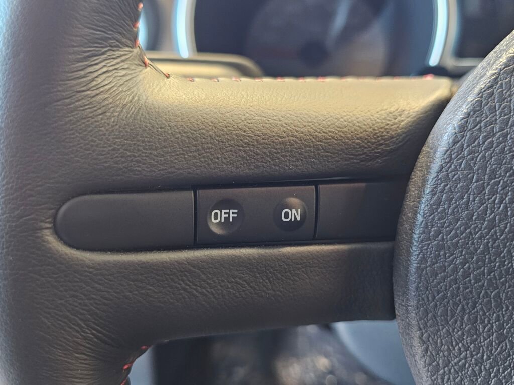 Used 2009 Ford Mustang Shelby GT500 image 18