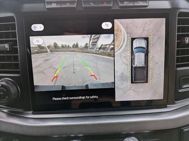 Used 2024 Ford F250 Platinum image 14