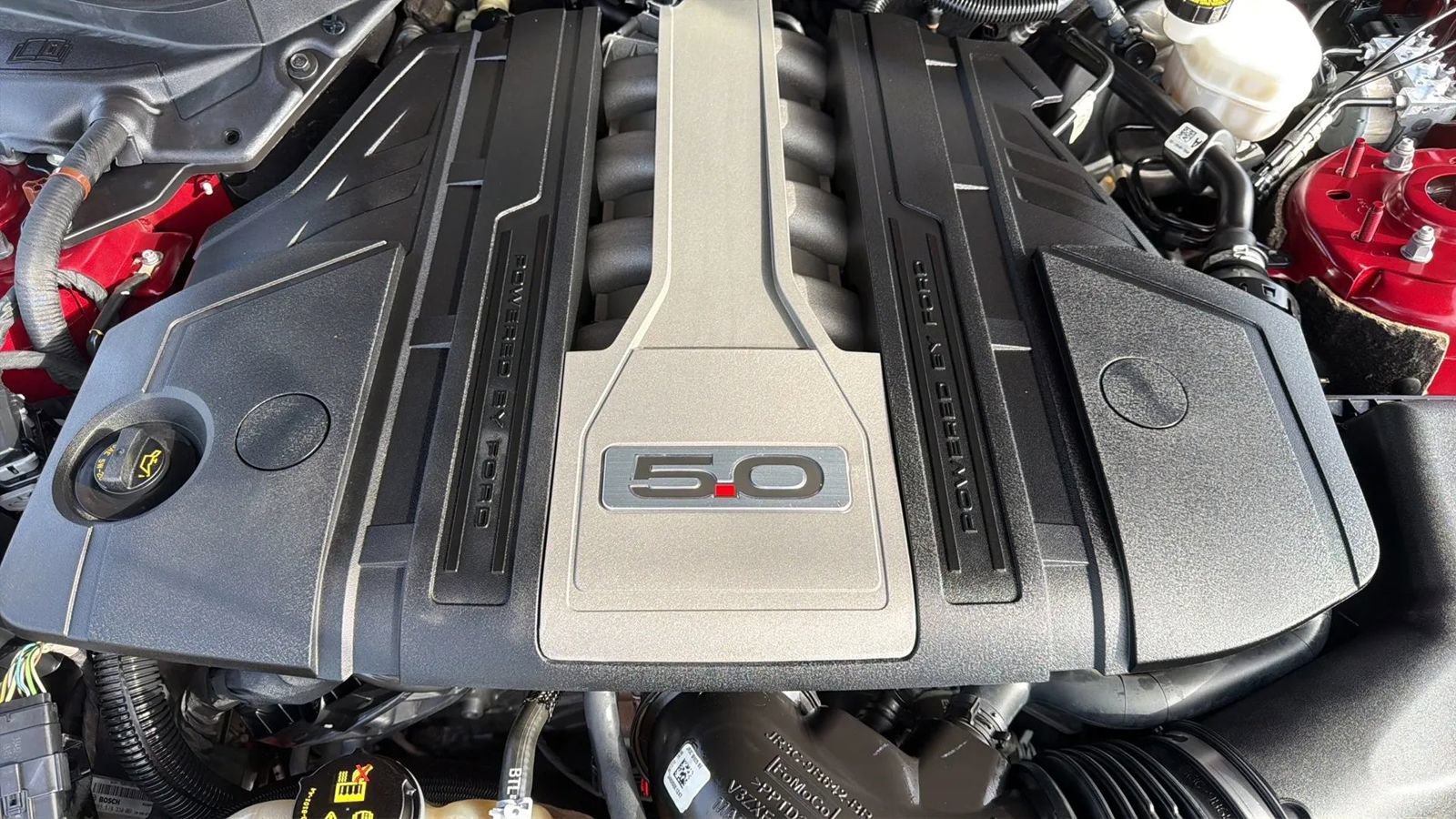 Used 2019 Ford Mustang GT w/ Equipment Group 301A RWD image 23