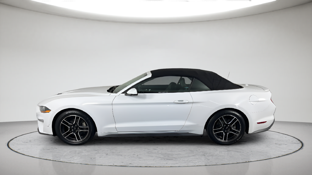 Used 2018 Ford Mustang Premium RWD image 13