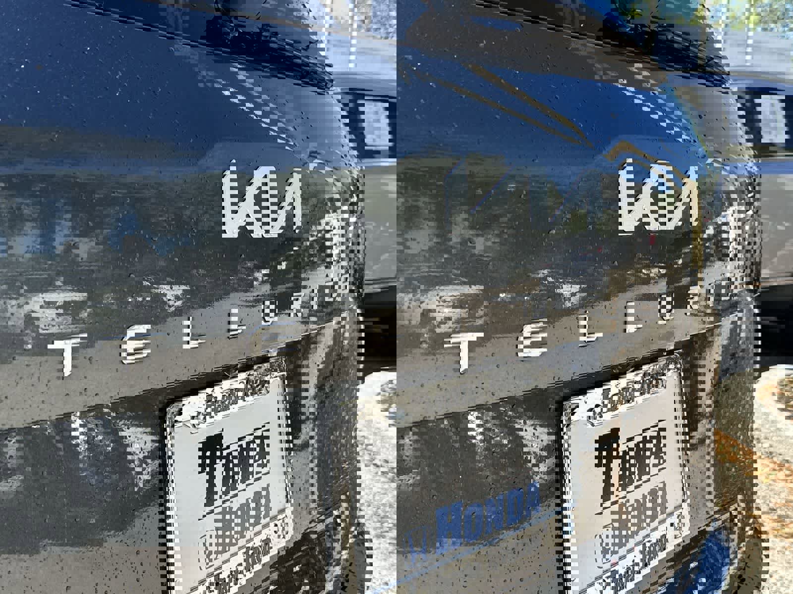 Used 2023 Kia Telluride EX X-Line image 8