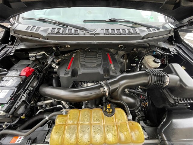 Used 2019 Ford F150 Raptor w/ Equipment Group 801A Mid image 20