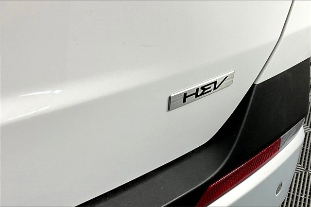 New 2026 Kia Carnival EX image 10