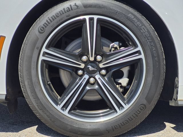 Used 2024 Ford Mustang Coupe RWD image 7