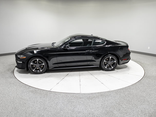 Used 2018 Ford Mustang Coupe w/ Equipment Group 101A RWD image 24