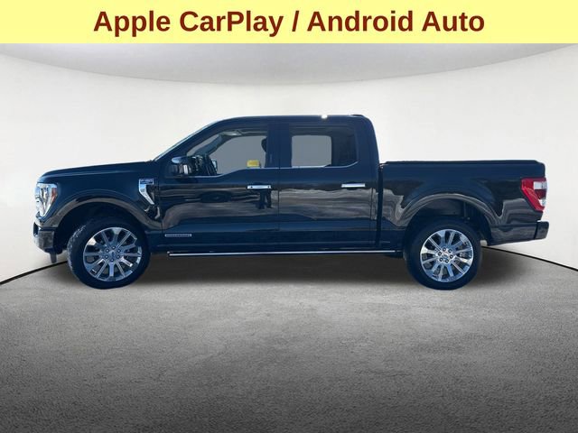 Certified 2023 Ford F150 Limited image 7
