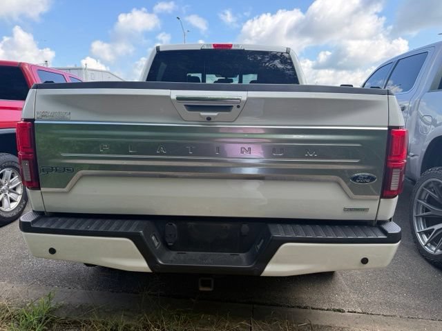 Used 2019 Ford F150 Platinum w/ Equipment Group 701A Luxury AWD/4WD image 5