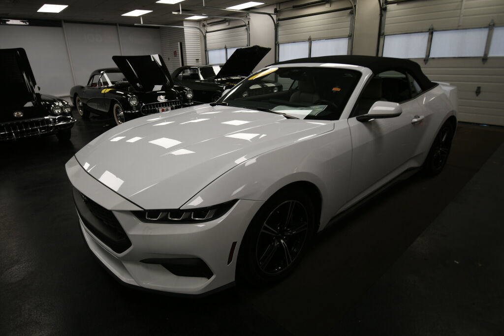 Used 2024 Ford Mustang Premium RWD image 3