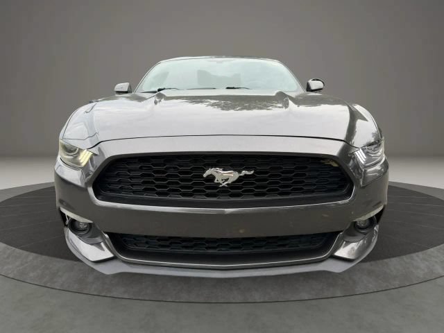 Used 2015 Ford Mustang Premium w/ Equipment Group 201A RWD image 2