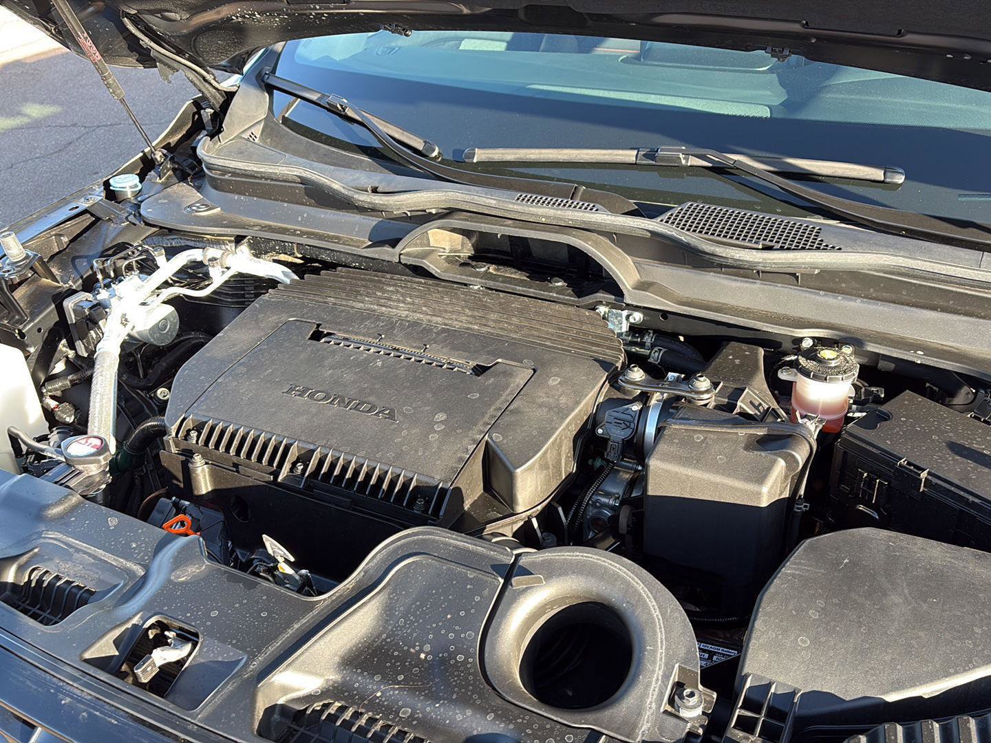 Certified 2026 Honda Passport TrailSport image 6