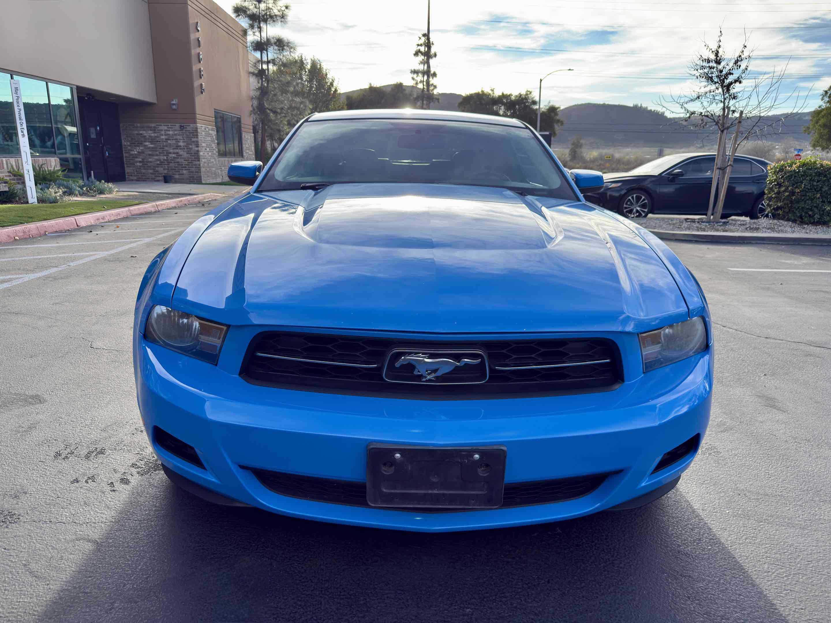 Used 2010 Ford Mustang Premium image 7
