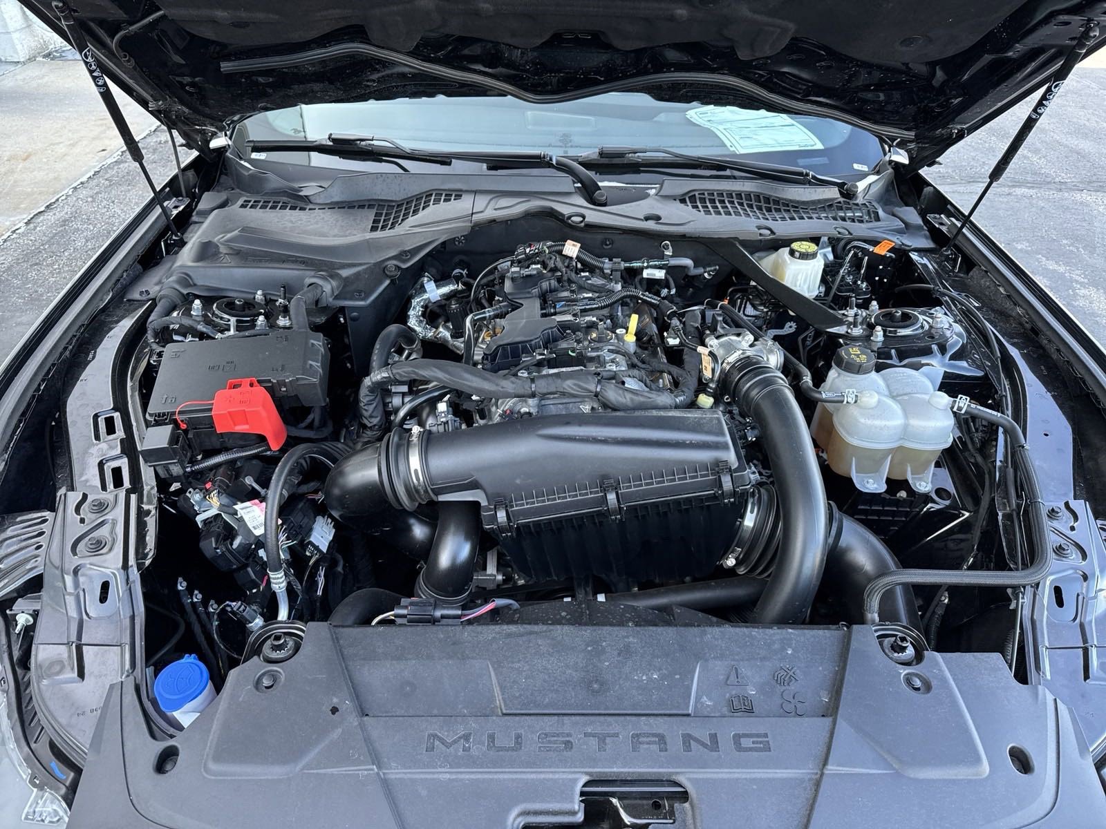 Certified 2024 Ford Mustang Premium image 55