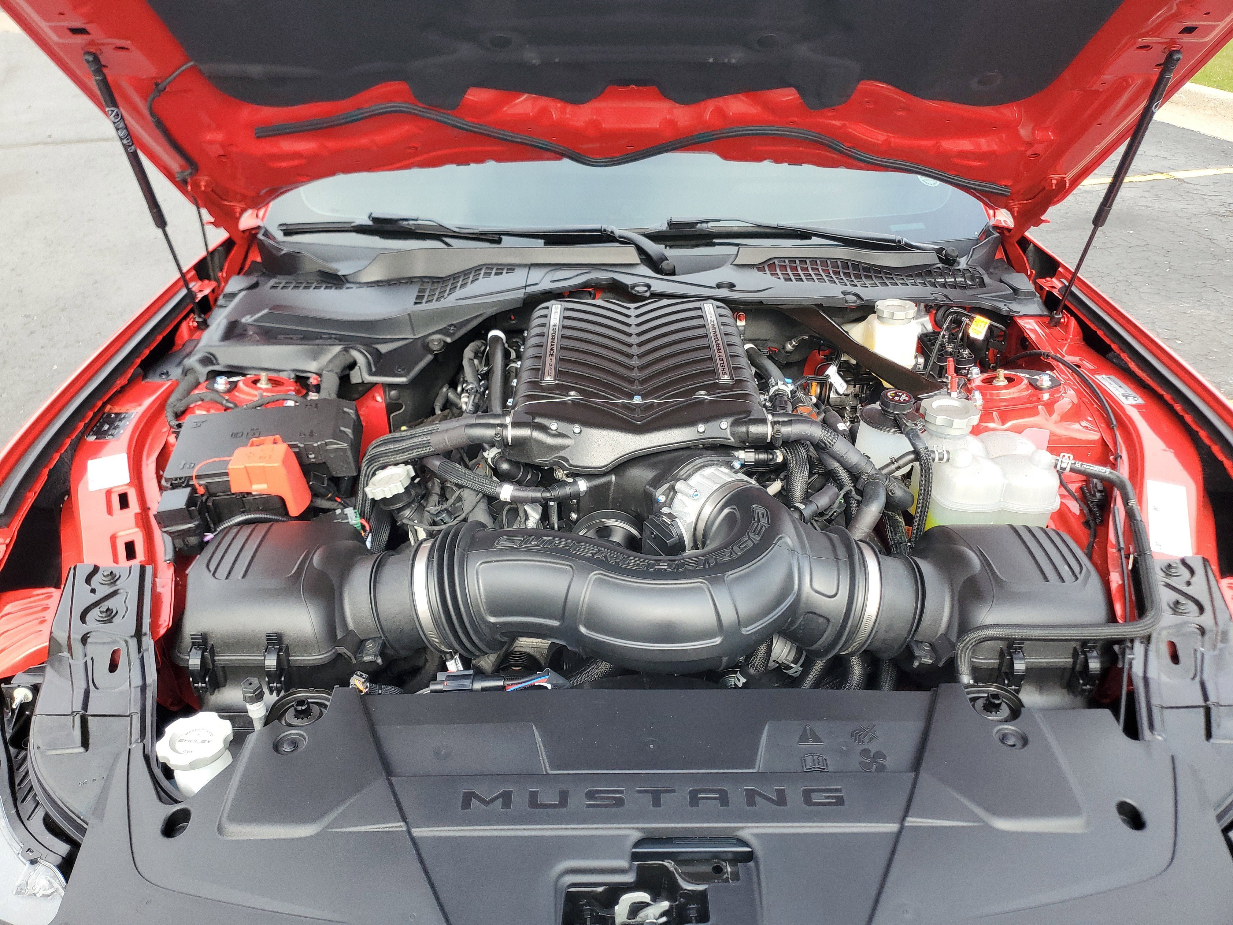 Used 2025 Ford Mustang GT Premium w/ GT Performance Package RWD image 8