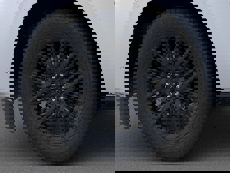 New 2026 Ford Expedition Platinum w/ Stealth Appearance Package image 19