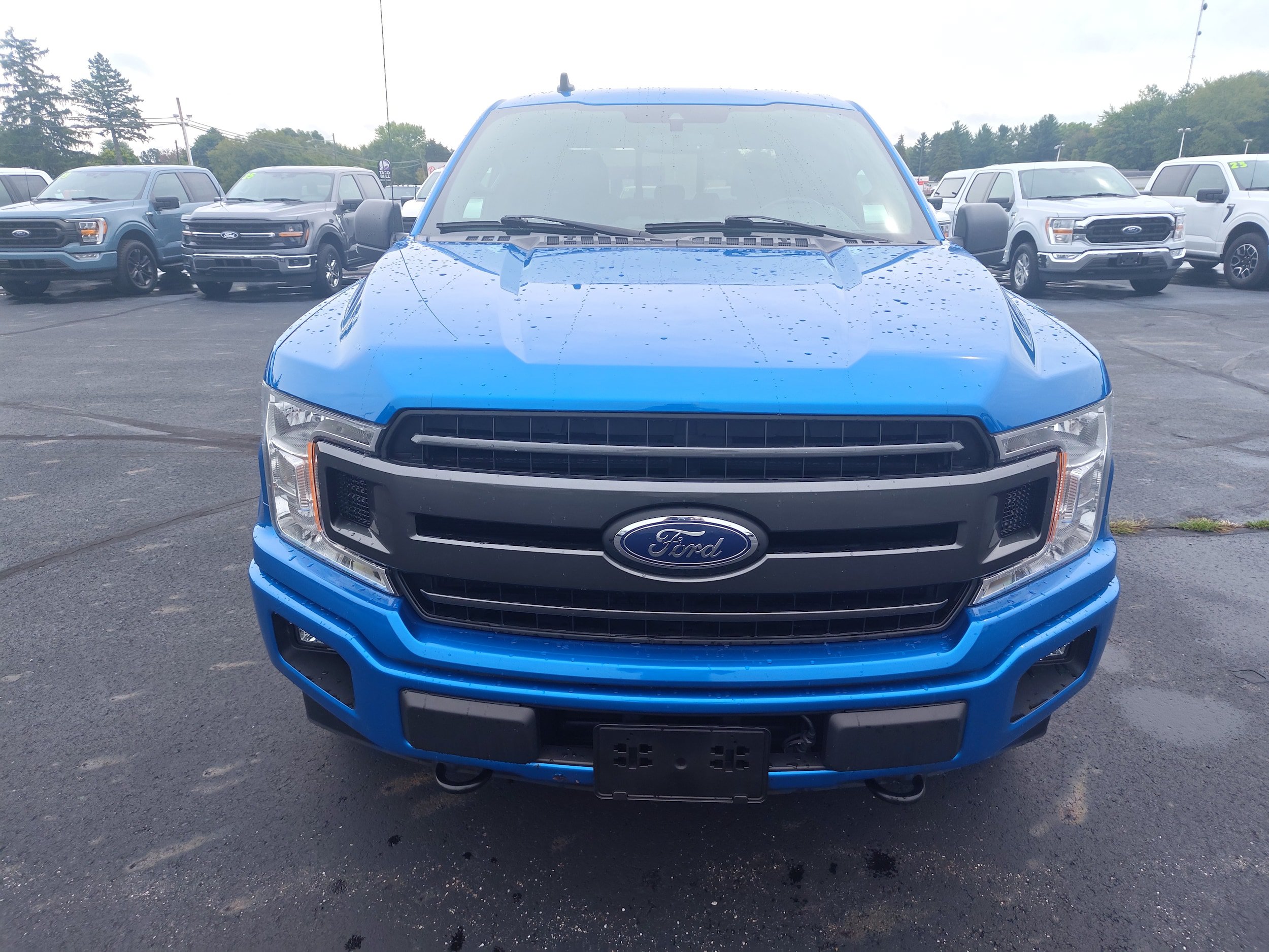 Used 2019 Ford F150 XLT w/ Equipment Group 302A Luxury AWD/4WD image 2