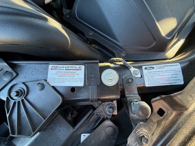 New 2025 Ford F150 Tremor w/ Equipment Group 402A High image 11