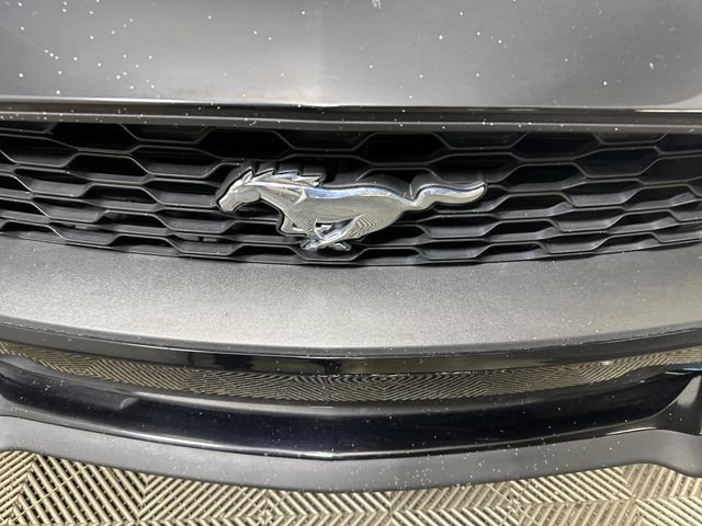 Used 2023 Ford Mustang Premium image 9