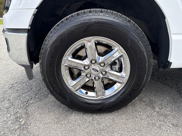 Used 2025 Ford F150 XLT w/ Equipment Group 301A Standard AWD/4WD image 9