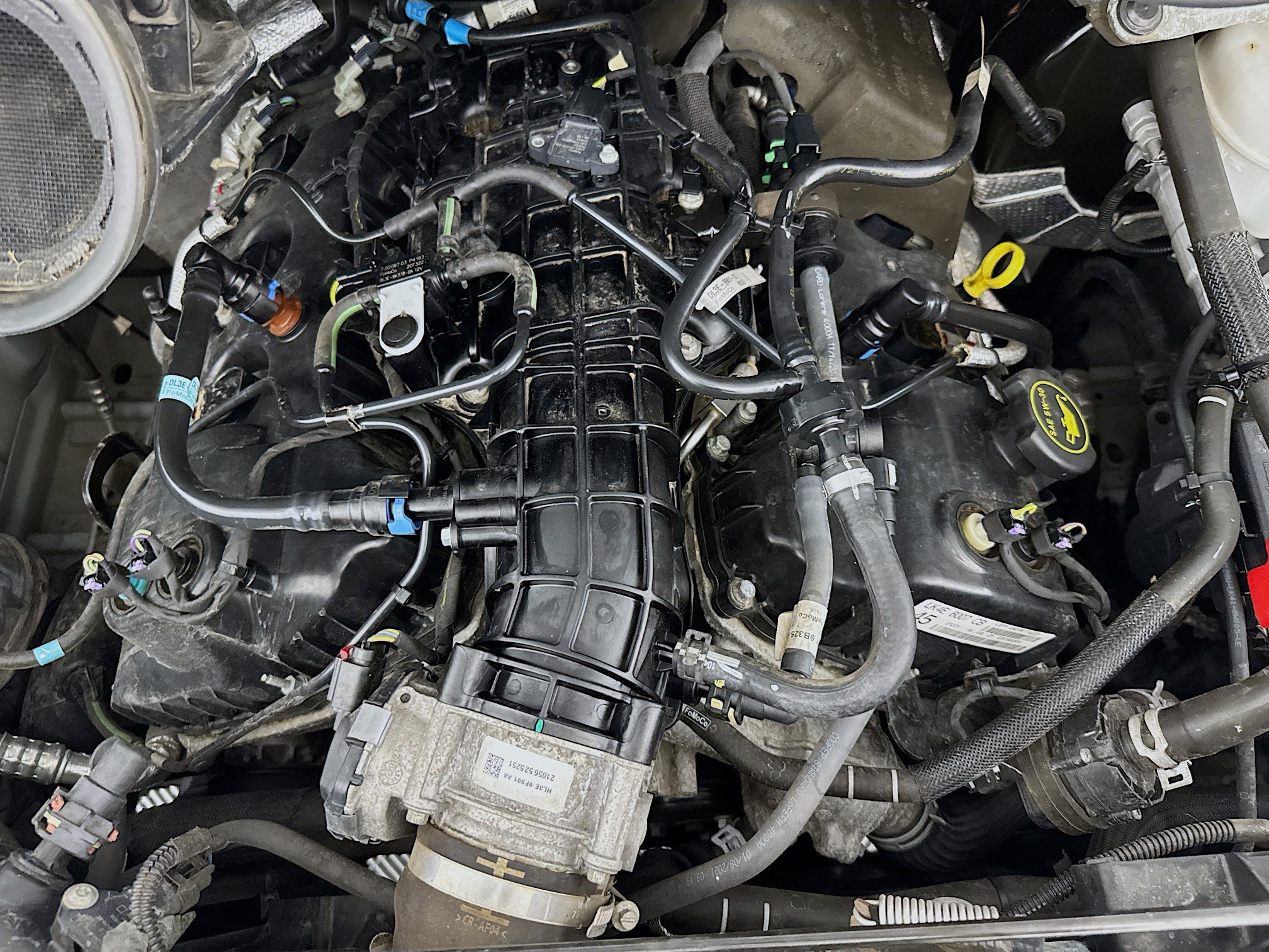 Used 2021 Ford Transit 250 Low Roof RWD image 32