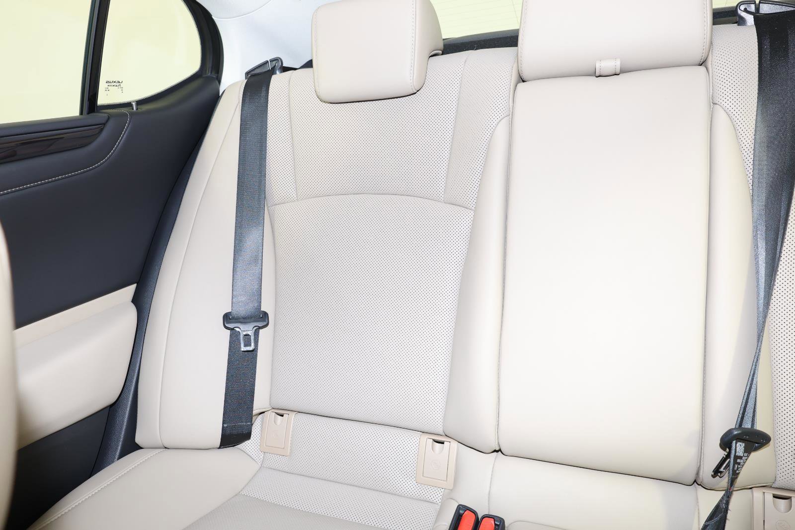 Used 2019 Lexus ES 350 w/ Premium Package image 12