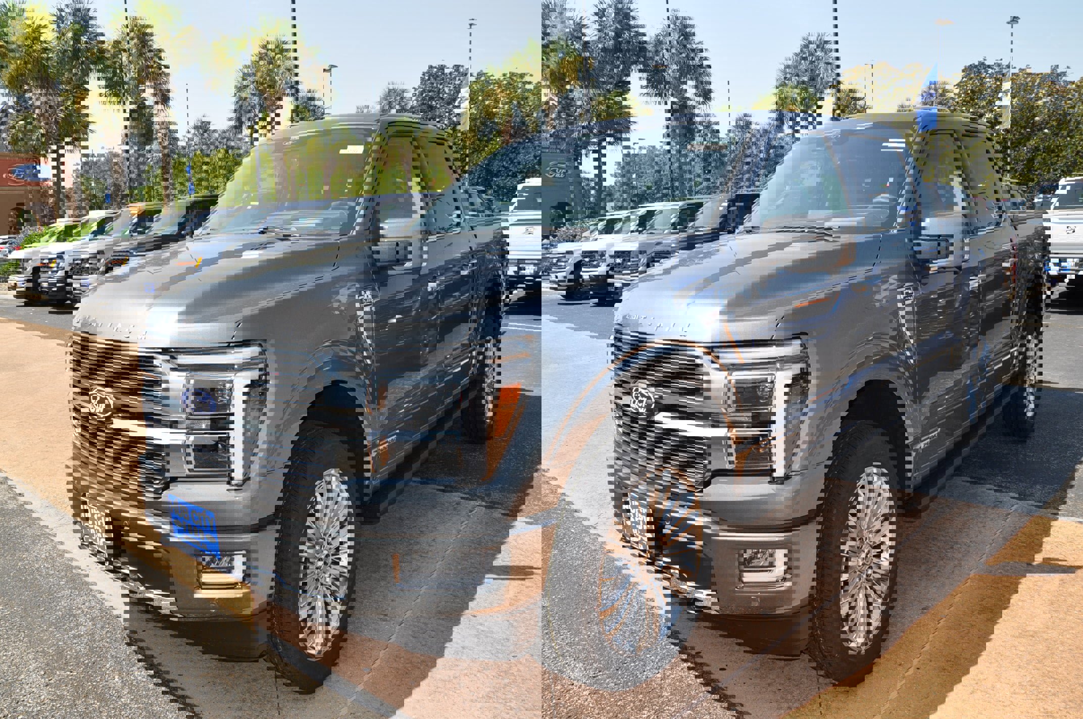 New 2025 Ford F150 Platinum
