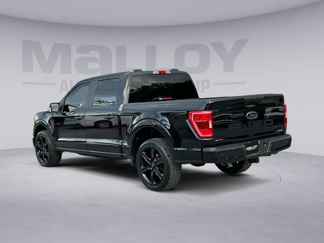 Certified 2023 Ford F150 XL w/ STX Appearance Package RWD image 3