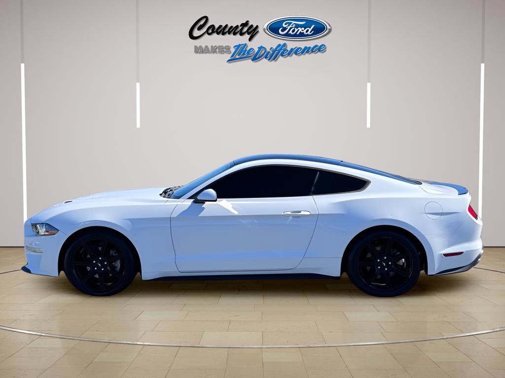 Used 2020 Ford Mustang EcoBoost w/ Equipment Group 101A image 3