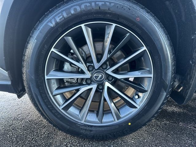 Used 2024 Lexus NX 350 AWD w/ Cold Area Package image 8
