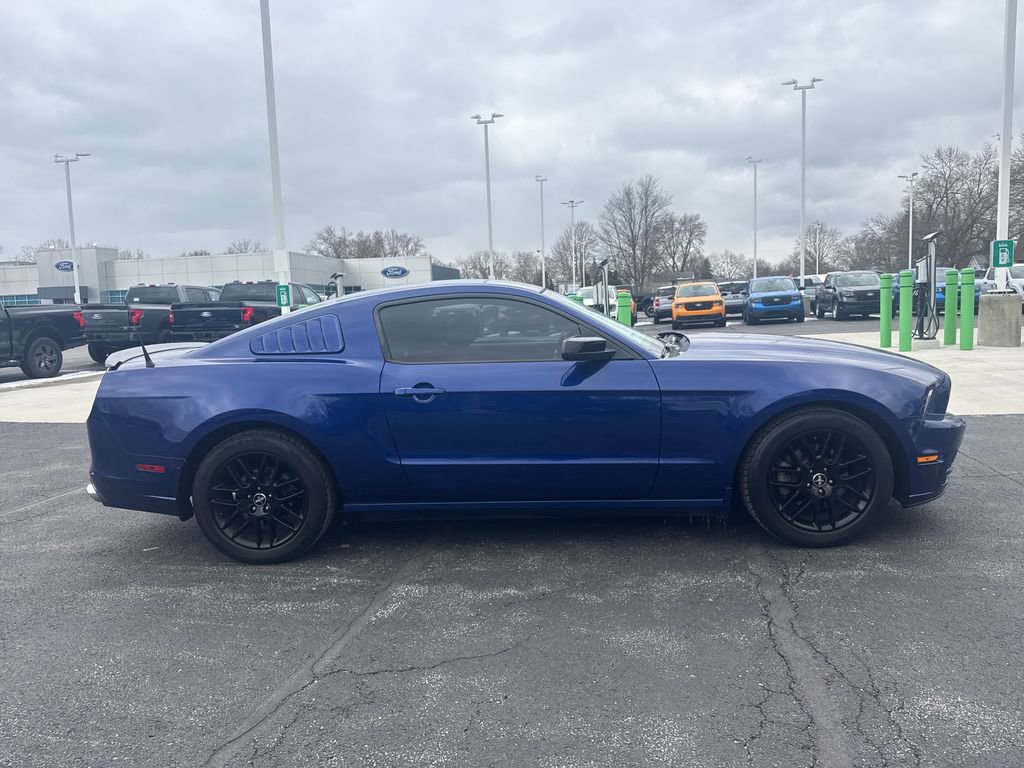 Used 2014 Ford Mustang V6 w/ FP6 Appearance Package image 6