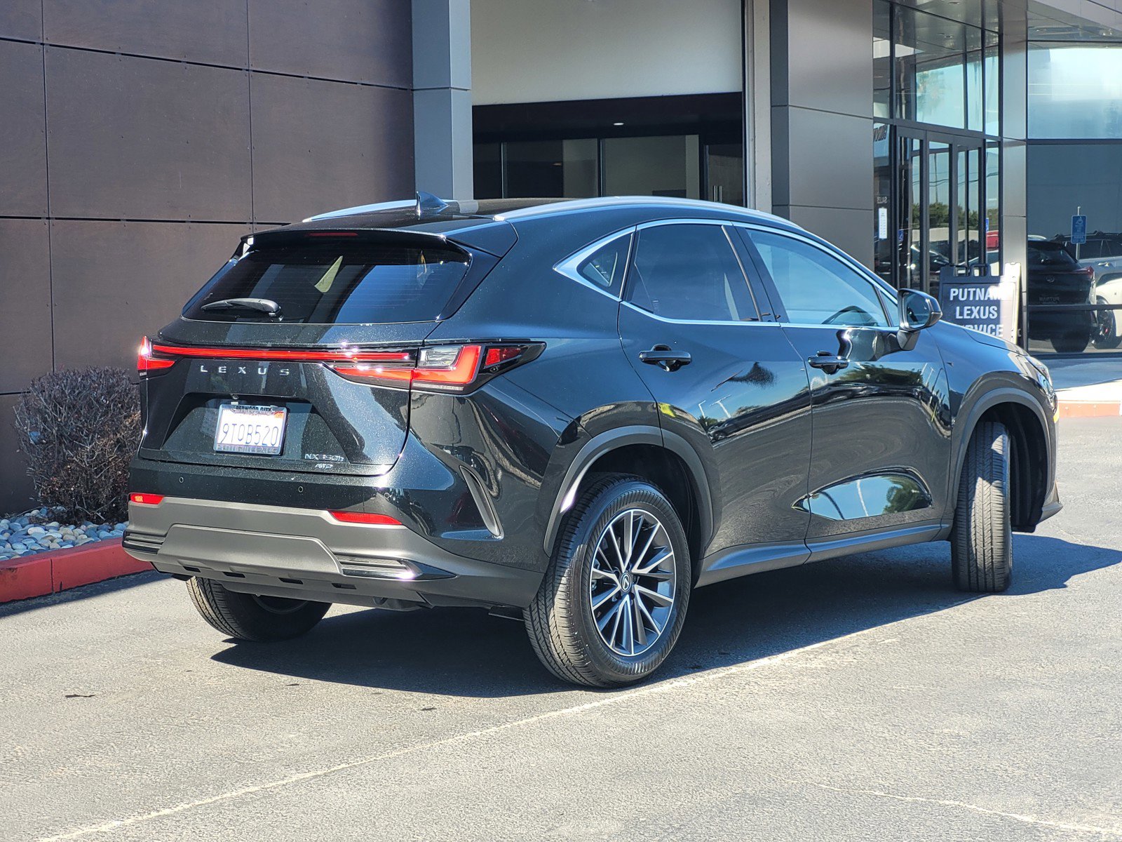 Certified 2025 Lexus NX 350h AWD w/ Cold Area Package image 5