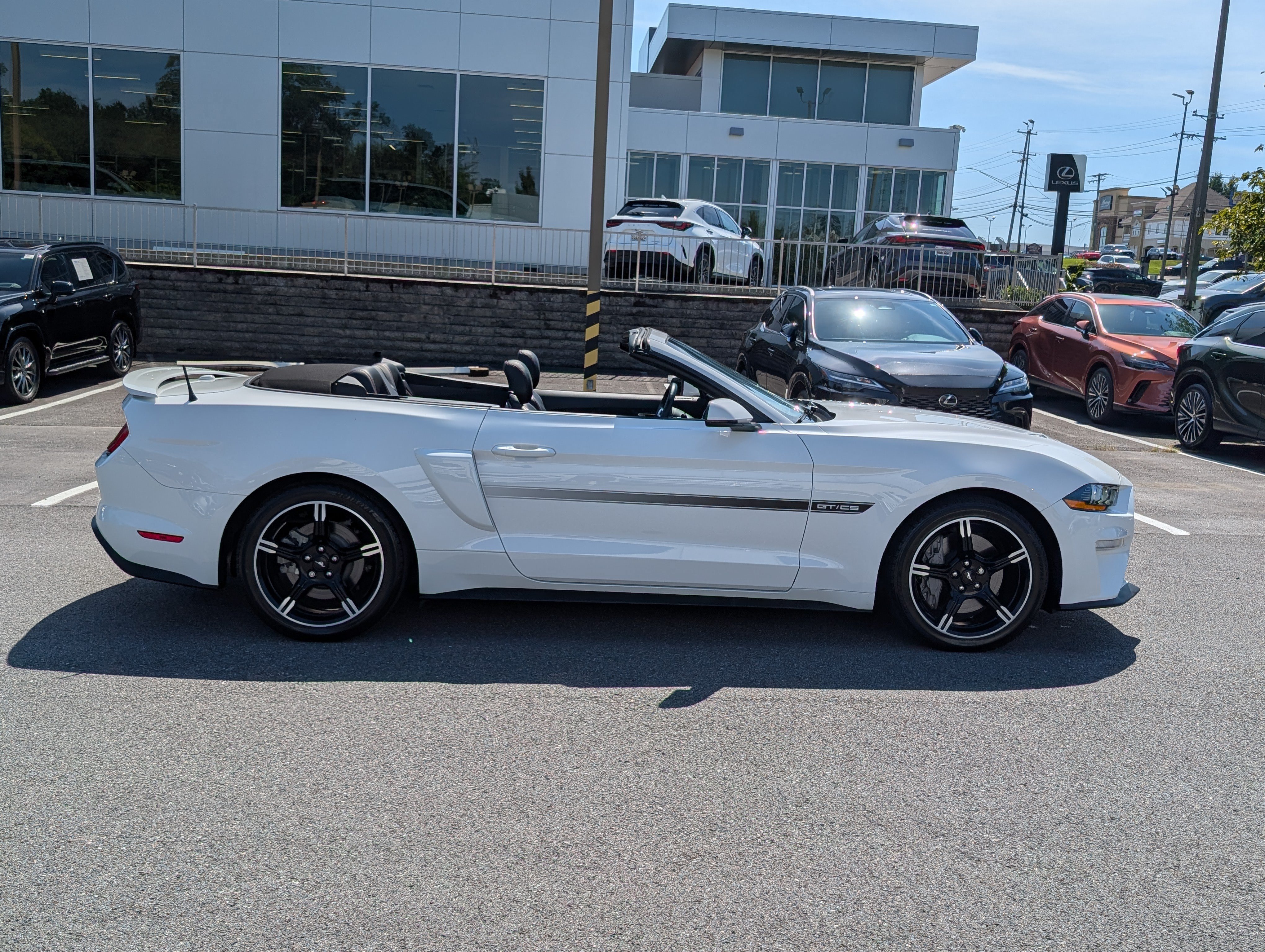Used 2019 Ford Mustang GT Premium w/ Equipment Group 401A RWD video 2
