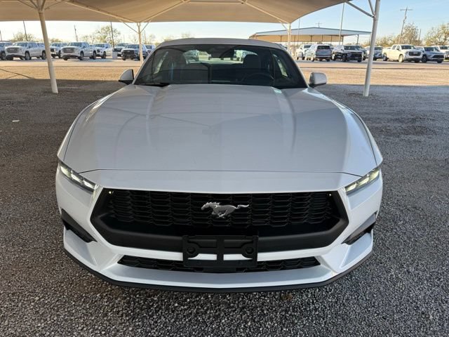 New 2026 Ford Mustang Coupe RWD image 2