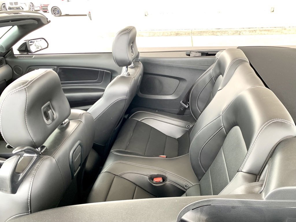 Used 2022 Ford Mustang GT Premium w/ Equipment Group 401A image 13