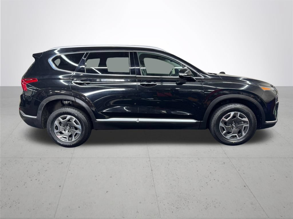 Used 2023 Hyundai Santa Fe Blue AWD/4WD image 9