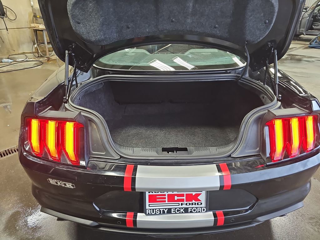 Used 2019 Ford Mustang Premium RWD image 12