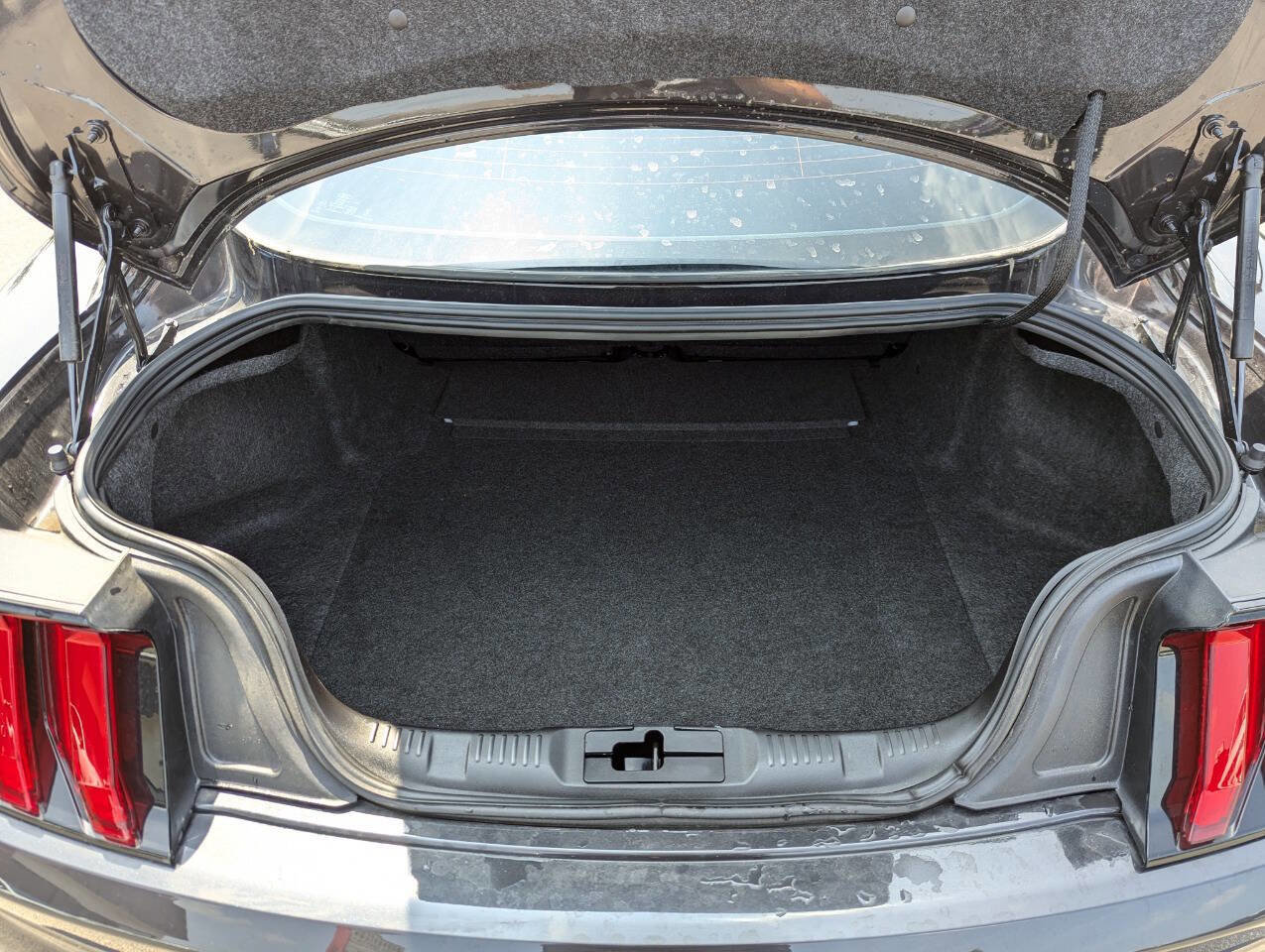 Used 2022 Ford Mustang Mach 1 image 14