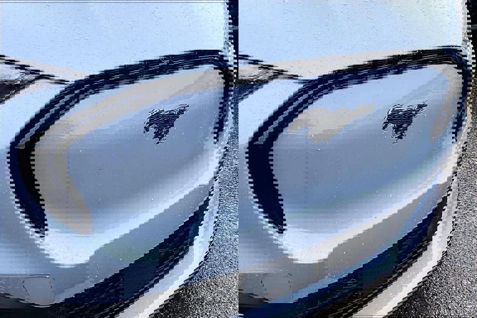 Used 2024 Ford Mustang Mach-E Premium RWD image 29