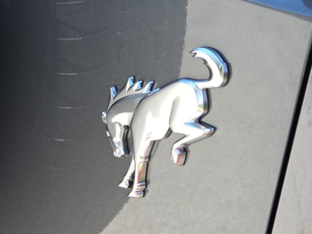 New 2025 Ford Bronco 4-Door image 10