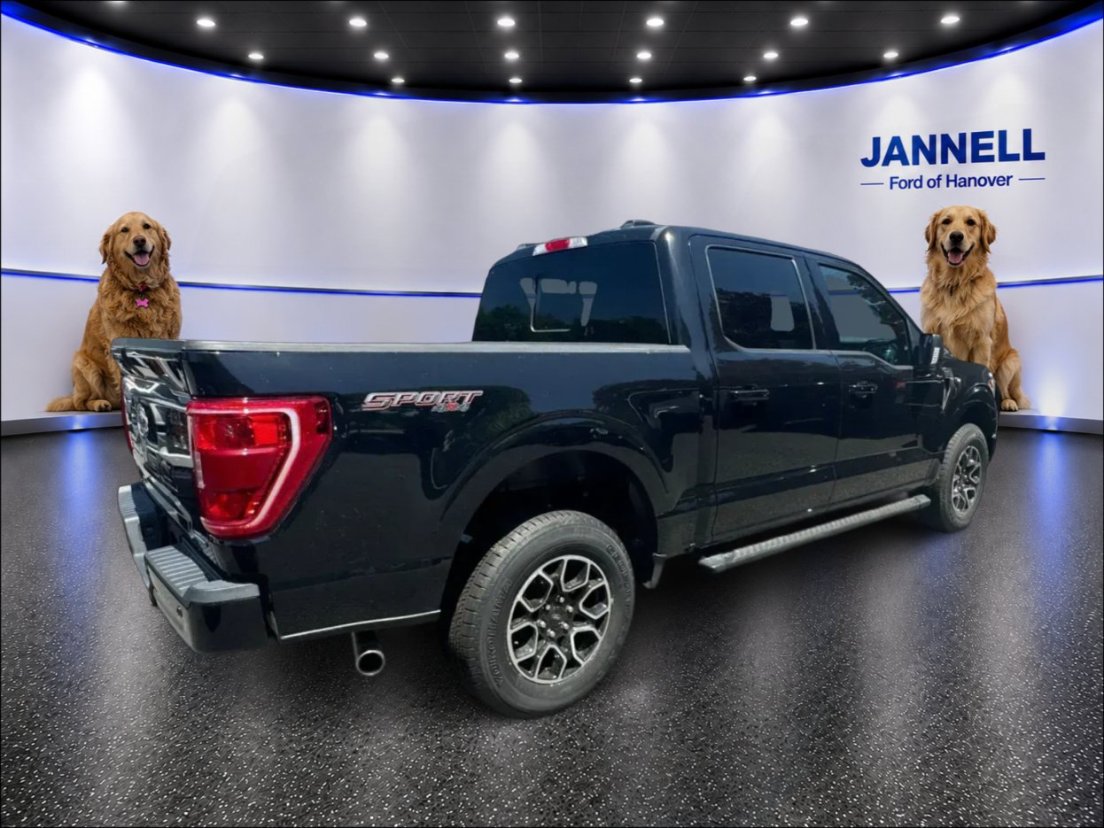 Used 2023 Ford F150 XLT w/ Equipment Group 302A High AWD/4WD image 6